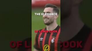 Elegance of Lewis Cook