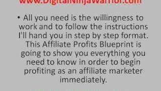 Affiliate Marketing Internet Marketing Learn from a PRO! Affiliate Elite!