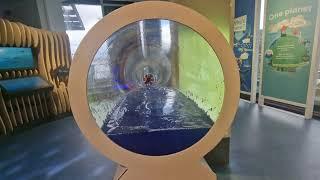 Eureka! Science + Discovery Power it up! Water turbine exercise