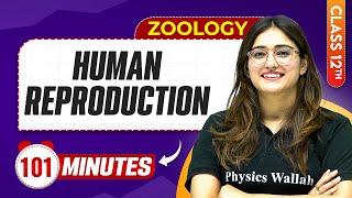 Human Reproduction in 100 Minutes | Class 12th Zoology | Mind Map Series