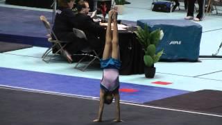 FX Eric Deluna 15.000 Level 7 (10-11) 2012 Texas State Championships