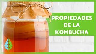 BENEFICIOS de la KOMBUCHA   (Propiedades, Para Qué Sirve y Cómo Hacer KOMBUCHA)