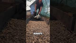 Дорожка своими руками