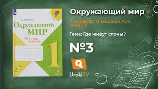 Задание 3 Где живут слоны? - Окружающий мир 1 класс (Плешаков А.А.) 2 часть