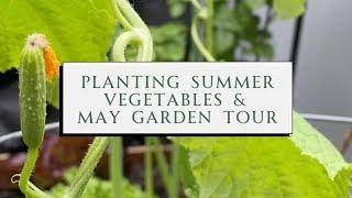 Planting Summer Vegetables & May Garden Tour | SEASON & SERVE BLOG