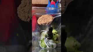 Easy Fudgsicles | Vegan