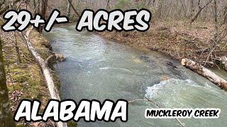 29 #acres Muckleroy Creek #realestate Ashville Alabama Land For Sale