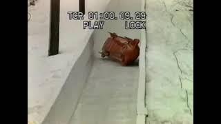 Brian Shimer 4 man Bobsled Crash 1990 Lake Placid