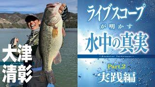 【完全保存版】1番わかりやすくて詳しいライブスコープの教科書。実釣解説＆魚探映像を完全リンク化！【大津清彰】