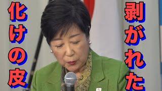 疑惑の政治家小池百合子