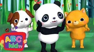 Head Shoulders Knees Toes | Animal Stories for Toddlers - ABC Kid TV | Nursery Rhymes & Kids Songs