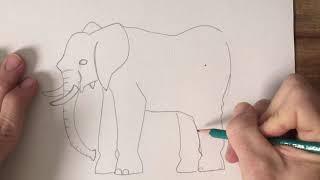 Free Draw Friday Elephants