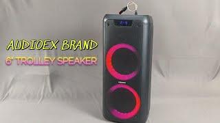 6" AUDIOEX TROLLEY SPEAKER