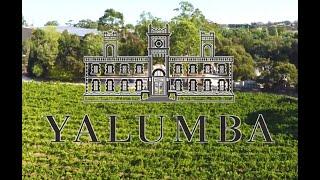 Yalumba Wines Company, Barossa Valley, South Australia, AUSTRALIA. Vineyards and drone