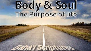 BODY&SOUL -  Life and its True Purpose