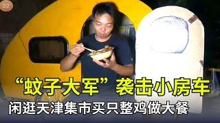 【S2】11."Army of Mosquitoes" Attacks the Camper! Ah Cheng Strolls Through a Tianjin Market