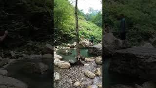 Mazandaran IRAN/ #shorts #trending #nature #viralshorts #viral #trendingshorts #iran #youtubeshorts