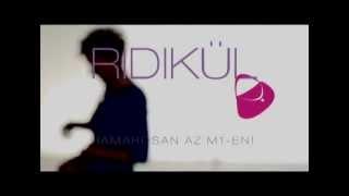 Ridikül