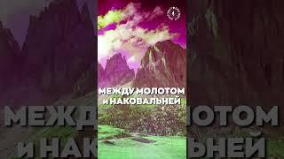 #БлагоВест  МЕЖДУ МОЛОТОМ и НАКОВАЛЬНЕЙ