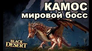 Камос - мировой босс: Фарм, Дроп, знание в Black Desert (MMORPG - ИГРЫ)