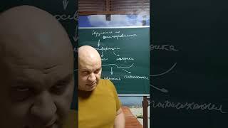 Нарушения логичности рассуждений из-за нарушений мышления по целенаправленности. Персеверации