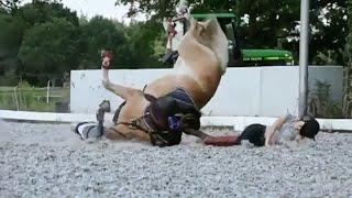 Equestrian fails!