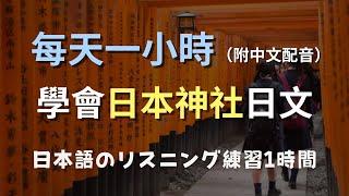 保母級聽力訓練｜輕鬆掌握日本神社參拜用語｜不費力交流，體驗日本傳統！零基礎學日文｜N3日文｜日本のリスニング練習（附中文配音）