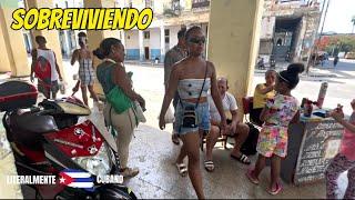 ASÍ SE VIVE EN CUBA ¿Cómo pueden hacerlo? Este problema se salió de control