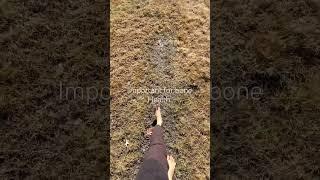The Healing power of Sunlight ️️️️** Morning Barefoot Walks**