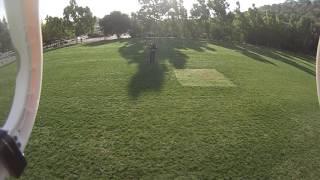 Drone over Tice Valley Park