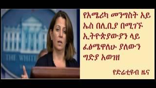 DireTube News - White House Condemns Islamic State Massacre of Ethiopian Christians