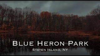 Rain Walk with an umbrella through Blue Heron Park, Staten Island New York | 4K video