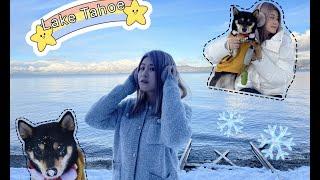 Lake Tahoe Winter Road Trip｜冬季旅行去哪里？｜太浩湖攻略四天三夜内华达州绝美冬天之旅｜带着小黑柴加州自驾游