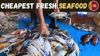 The Local Way Of LIFE | Seaside FRESH Fish Market Sri Lanka