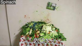 HowToBasic of Evolution 2011-2021 [S4E09]