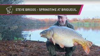 Steve Briggs - Springtime at Brigueuil