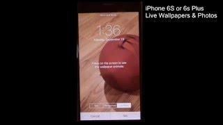 iPhone 6S or 6s Plus  How To Set Live Wallpapers & Photos