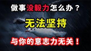 做事總是沒毅力堅持不住怎么辦？換個角度思考讓你輕松堅持到底