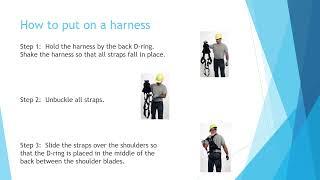 Fall Protection Body harness 2023