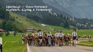 Alpfahrt und Viehscheid der Käseralpe / Oberstdorf - Allgäu