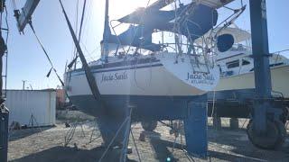 Jacie Sails Status Update: Nov. 17, 2024