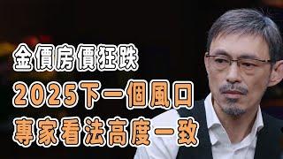 金價房價狂跌，2025下一個風口，專家看法高度一致！ #分享 #talkshow #圆桌派 #马未都 #窦文涛 #許子東 #馬家輝 #周轶君 #2025 #黃金