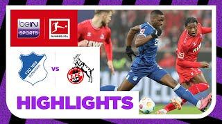 Hoffenheim v FC Koln | Bundesliga 23/24 Match Highlights