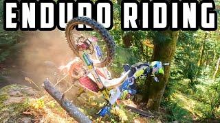 Extreme Enduro Feature on Intermediate Trail. Dirt Bike Riders Beware. S2E14 #8k #ktm #husqvarna