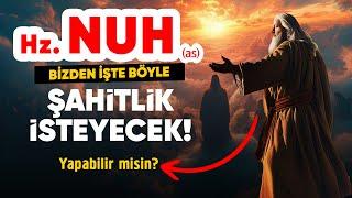 Hz. Nuh (as) bizden Şahitlik istiyor! Ayette bakın ne yazıyor!