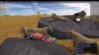 Wild Savannah (Roblox Gametype) - Hacker Encounter, Cannibalism