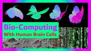 Can a Lab-Grown "Mini Human Brain" Really Fly a Butterfly? Breaking Down FinalSpark's New Tech