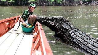 Most Emotional Animal Reunions With Owners After Years!