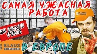 Худшая работа в Чехии (Klaus Timber)! Украинцы ни ногой! / ПОКИНЬТЕ ВАГОН