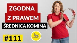 DOBRANA ŚREDNICA ZMNIEJSZY ZYŻYCIE OPAŁU czyli PRAWIDŁOWA SREDNICA KOMINA #111